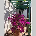 Casa Alegria Ii