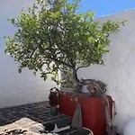 Casa Alegria Ii