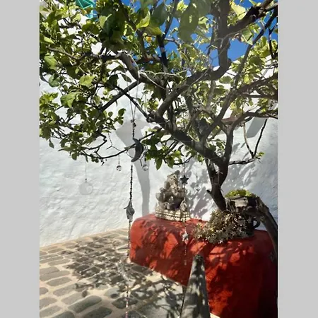 Apartmán Casa Alegria Ii