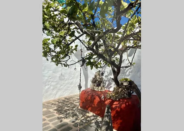 Διαμέρισμα Casa Alegria Ii